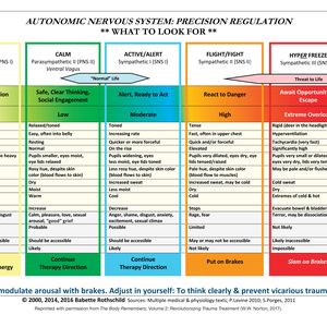 Autonomic Nervous System Table: Laminated Card | 0:e upplagan