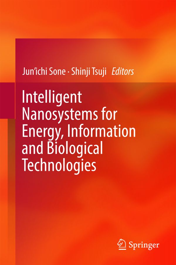 Intelligent Nanosystems for Energy, Information and Biological Technologies | 1:a upplagan