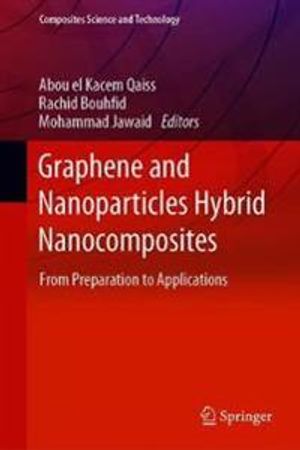 Graphene and Nanoparticles Hybrid Nanocomposites | 1:a upplagan