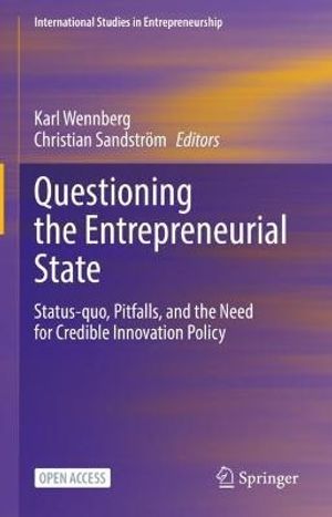 Questioning the Entrepreneurial State