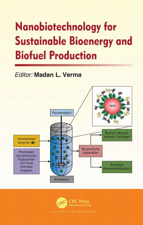 Nanobiotechnology for Sustainable Bioenergy and Biofuel Production | 1:a upplagan