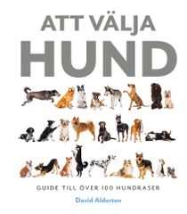Att välja hund: guide till över 100 hundraser