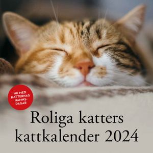 Roliga katters kattkalender 2024 | 1:a upplagan