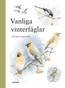 Vanliga vinterfåglar