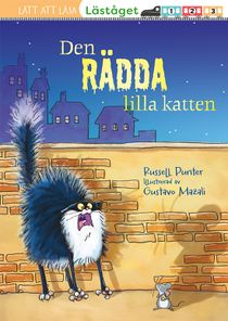 Den rädda lilla katten