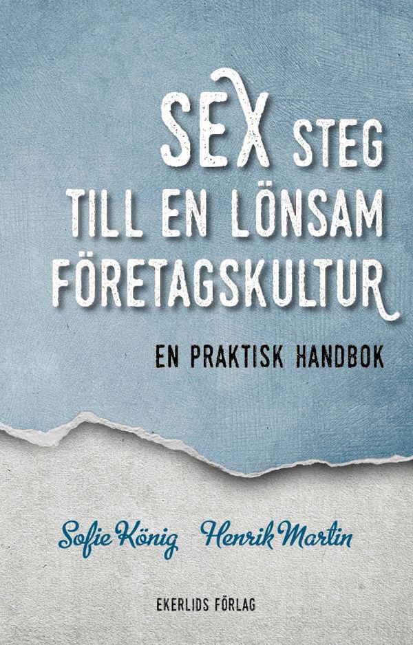 Sex steg till en lönsam företagskultur : en praktisk handbok | 1:a upplagan