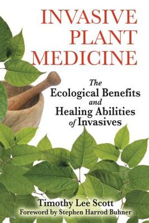 Invasive Plant Medicine: The Ecological Benefits & Healing Abilities Of Invasives