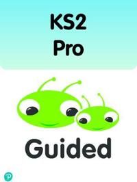 Bug Club Comprehension Y6 The Road to Freedom 12-pack | 0:e upplagan
