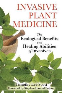 Invasive Plant Medicine: The Ecological Benefits & Healing Abilities Of Invasives