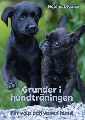 Grunder i hundträningen