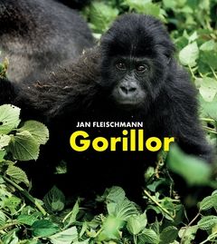 Gorillor : en spännande upptäcktsresa i Kongo | 1:a upplagan