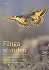 Fånga stunden: Hur man bemöter och förhåller sig till personer med demenshandikapp | 2:a upplagan
