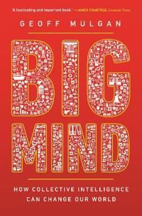 Big Mind