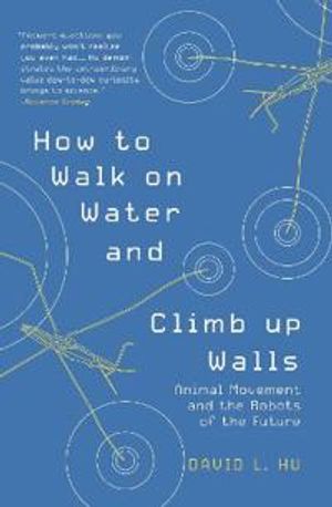 How to Walk on Water and Climb up Walls