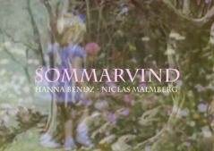 Sommarvisan - Hanna Bendz