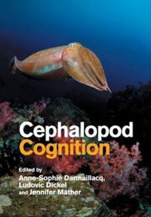 Cephalopod Cognition