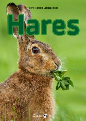 Hares | 1:a upplagan