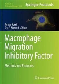 Macrophage Migration Inhibitory Factor