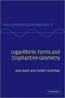 Logarithmic Forms and Diophantine Geometry