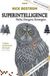 Superintelligence