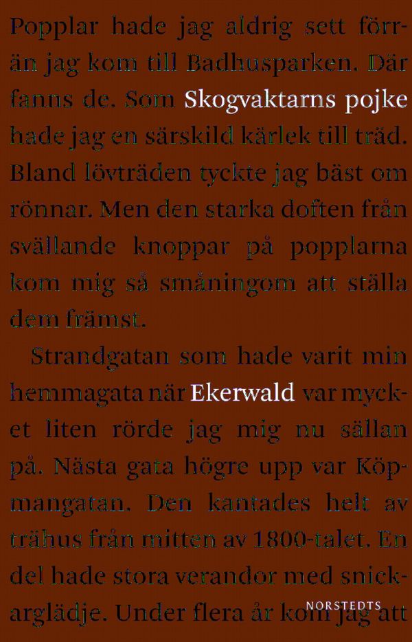 Skogvaktarns pojke | 1:a upplagan