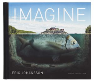 Imagine (Engelsk utgåva)