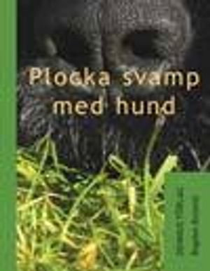 Plocka svamp med hund