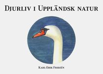Djurliv i uppländsk natur : akvarellblad