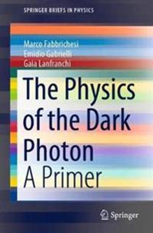 The Physics of the Dark Photon | 1:a upplagan