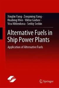 Alternative Fuels in Ship Power Plants