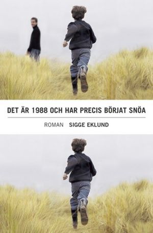 Det är 1988 och har precis börjat snöa : roman