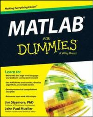 MATLAB For Dummies | 1:a upplagan