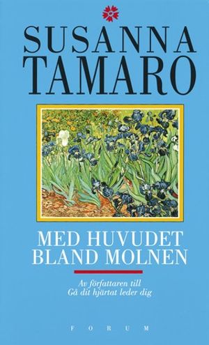 Med huvudet bland molnen