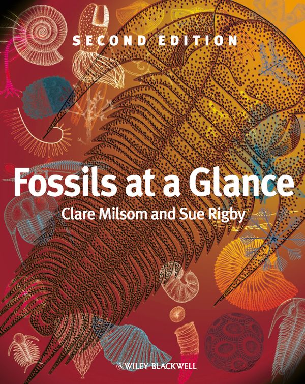 Fossils at a Glance | 1:a upplagan