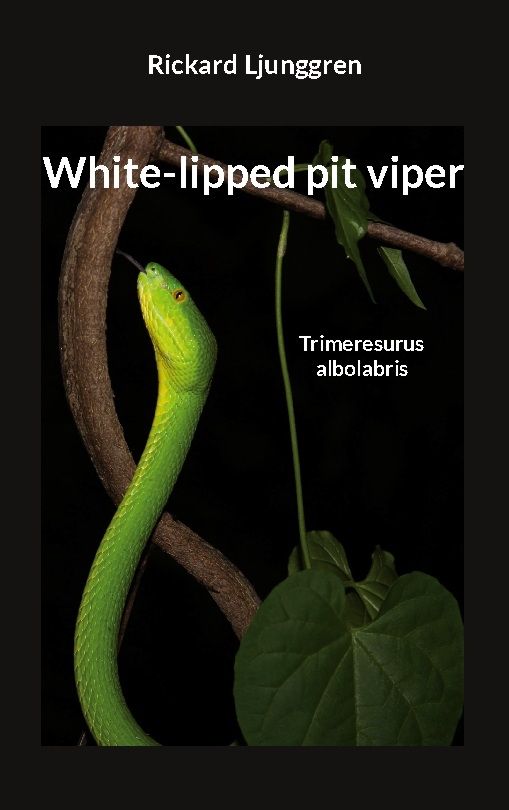 White-lipped pit viper : Trimeresurus albolabris | 1:a upplagan