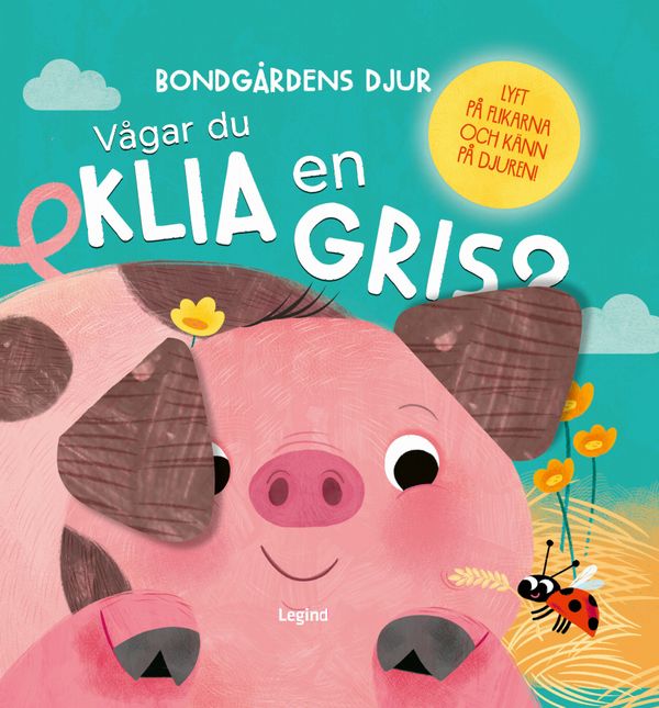 Vågar du klia en gris? | 0:e upplagan