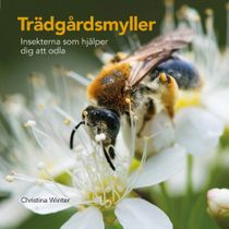 Trädgårdsmyller: Insekterna som hjälper dig att odla