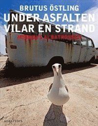 Under asfalten vilar en strand : midways albatrosser