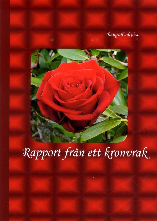 Rapport från ett kronvrak | 0:e upplagan