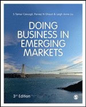 Doing Business in Emerging Markets | 3:e upplagan