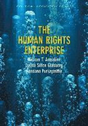 The Human Rights Enterprise: Political Sociology, State Power, and Social M | 1:a upplagan