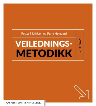Veiledningsmetodikk : en håndbok i praktisk veiledningsarbeid | 0:e upplagan