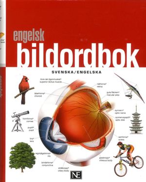 Engelsk bildordbok | 3:e upplagan