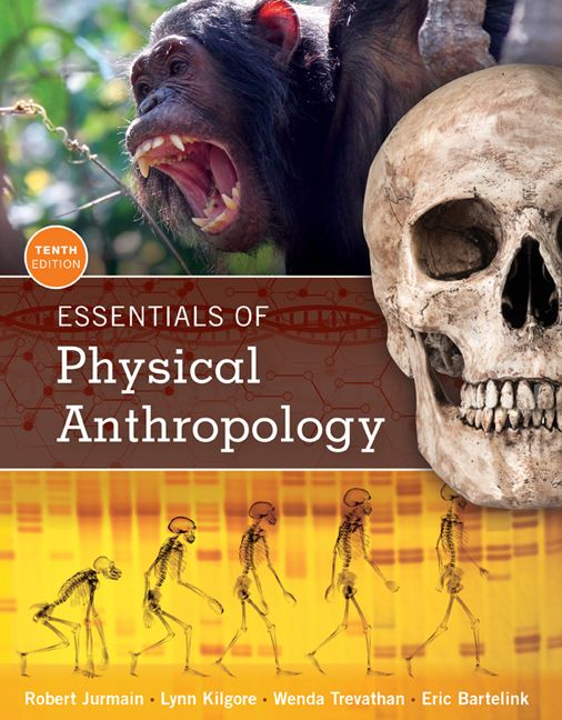 Essentials of Physical Anthropology | 10:e upplagan
