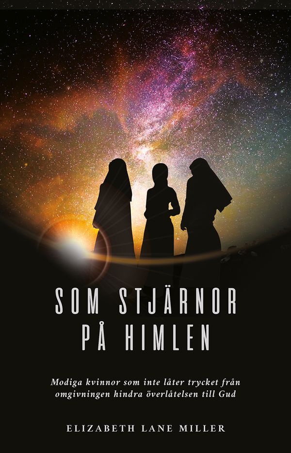 Som stjärnor på himlen | 0:e upplagan
