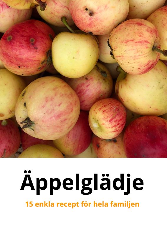 Äppelglädje | 0:e upplagan