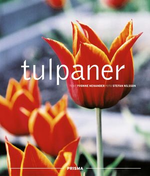 Tulpaner | 1:a upplagan