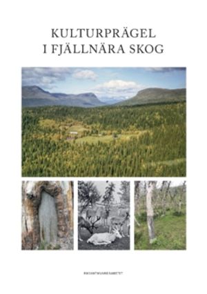 Kulturprägel i fjällnära skog