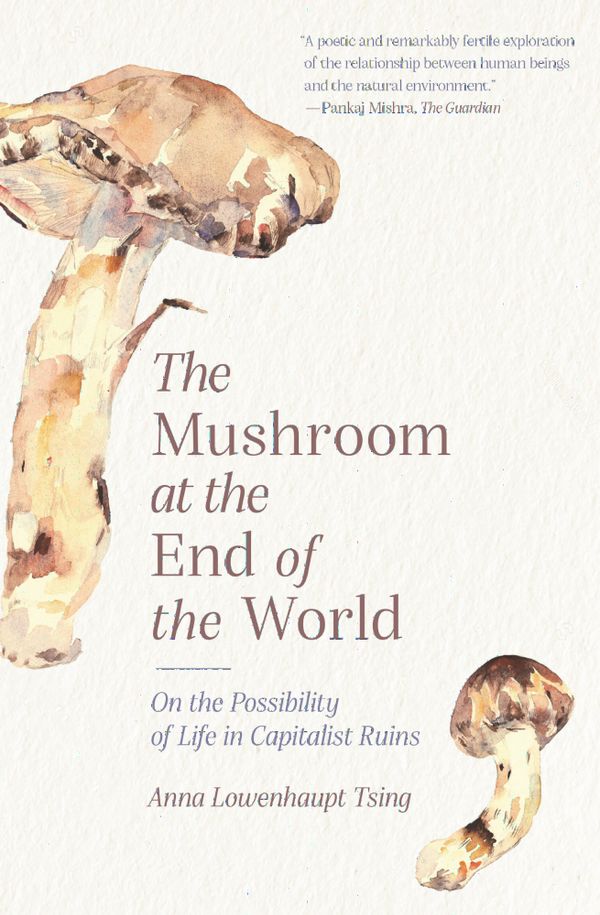 The Mushroom at the End of the World | 0:e upplagan