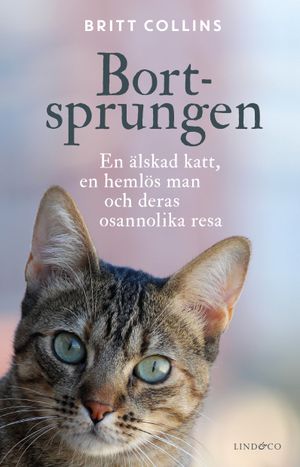 Bortsprungen : en älskad katt, en hemlös man och deras osannolika resa | 1:a upplagan